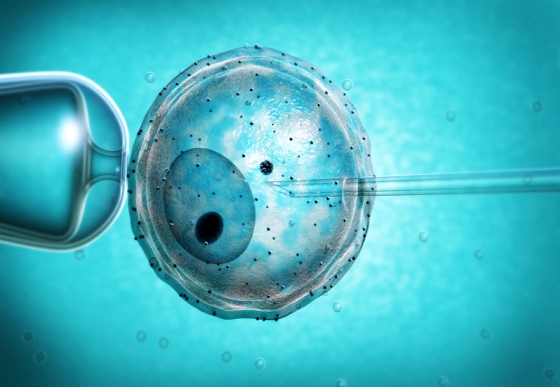 Test tube baby